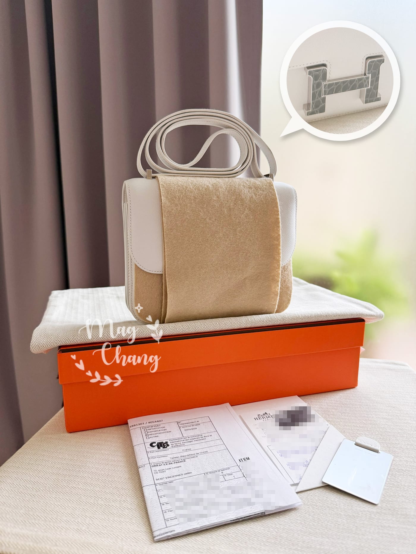 便宜到讓人起疑,這顆康康是什麼來頭?