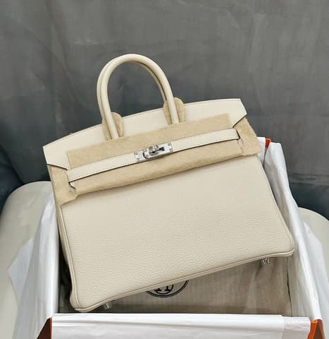 未使用閒置新奶昔白銀扣 Birkin 25
